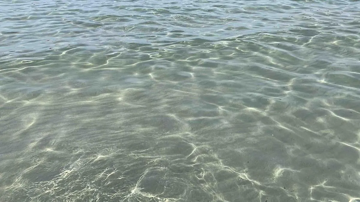 شقة Appartamento Cielo Pochi Passi Dal Mare كالاسيتا إيطاليا
